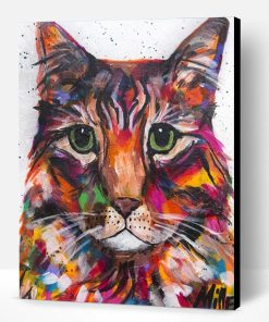 Colorful Tabby Cat Paint By Number