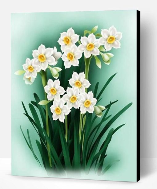 Daffodil Flowers Paint By Number