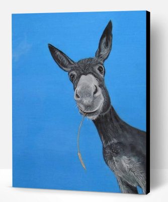 Donkey Portrait Paint By Number