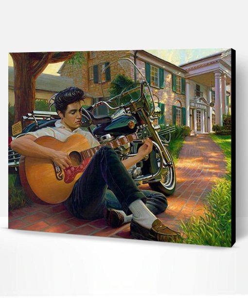 Elvis Presley in Graceland Paint By Number