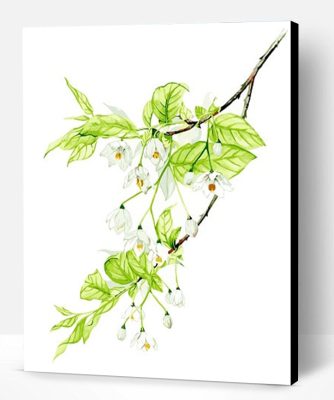 Flower Branch Paint By Number