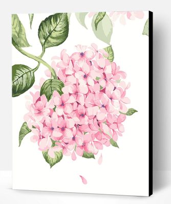 Gorgeous Pink Flowers Paint By Number