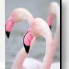 Greater Flamingo Paint By Number