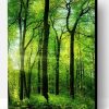 Green Summer Trees Paint By Number