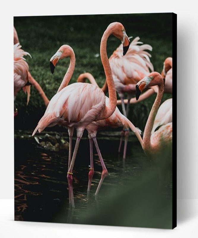 Group Of Flamingos Paint By Number