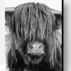 Highland Cow Face Paint By Number