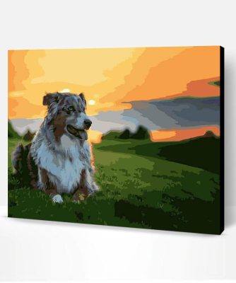 Australian Shepherd Paint By Number