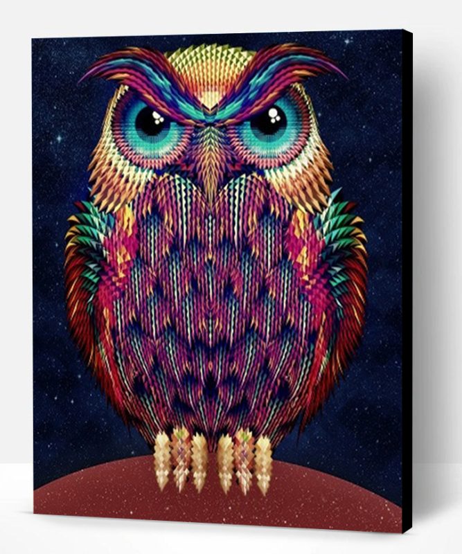 Hipster Owl Paint By Number