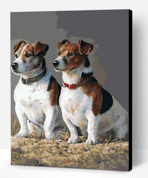 Jack Russell Dogs Paint By Number