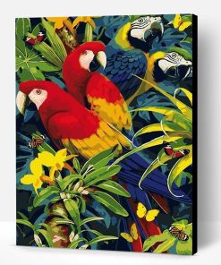 Macaw African Parrots Paint By Number