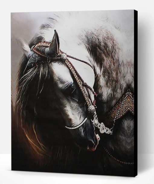 Arabic Horse Paint By Number