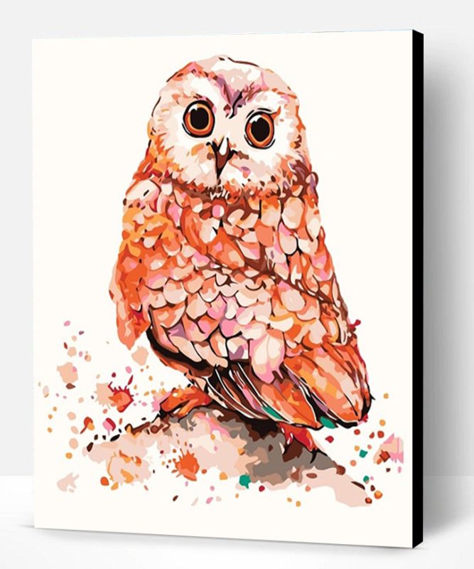 Owl Clipart Paint By Number