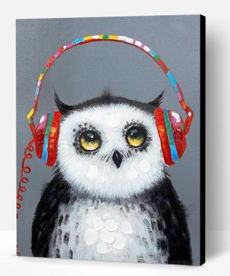 Owl Listened To The Music Paint By Number