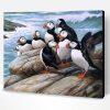 Puffins on Rock Paint By Number