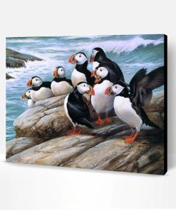 Puffins on Rock Paint By Number
