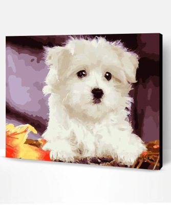 Bichon Frise Paint By Number