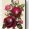 Rose Red Flower Paint By Number