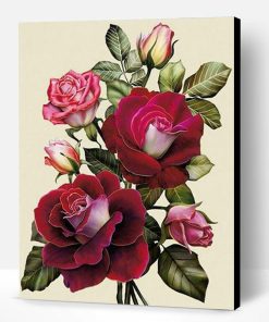 Rose Red Flower Paint By Number