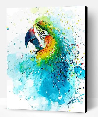 Splashed Parrot Paint By Number