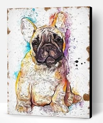 Splatter French Bulldog Paint By Number