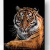 Strong Bengal Tiger Paint By Number