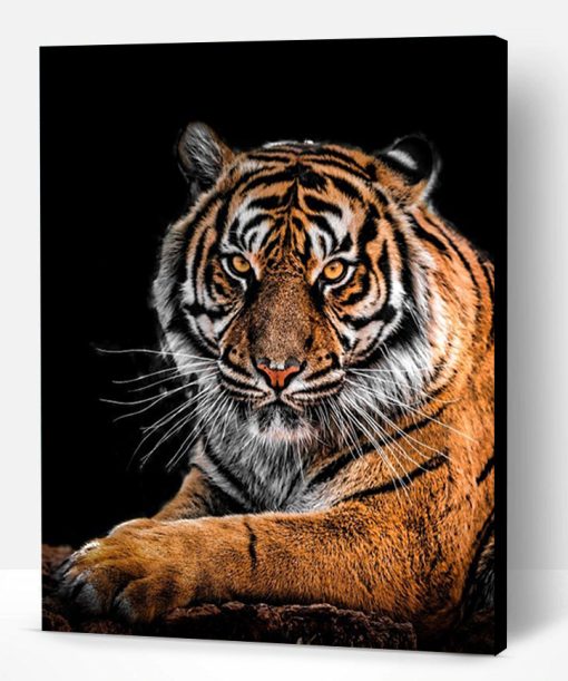 Strong Bengal Tiger Paint By Number