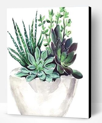 Succulent Pot Paint By Number