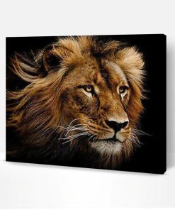 Wild Lion Paint By Number