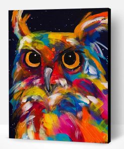 Wise Owl Paint By Number