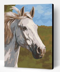 Thoroughbred White Horse Paint By Number