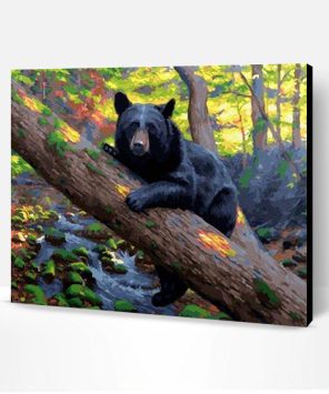 Black Bear Paint By Number