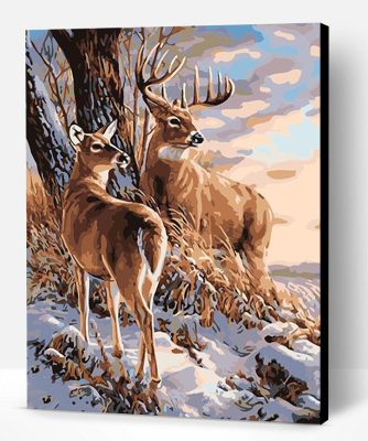 Buck And Doe Paint By Number