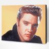 Handsome Elvis Presley Paint By Number