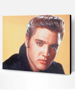 Handsome Elvis Presley Paint By Number