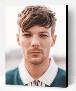 Louis Tomlinson New Haircut Paint By Number