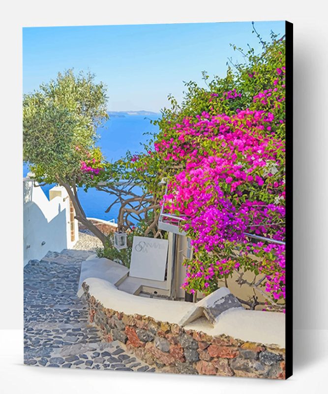 Santorini Greece Pink Flowers Paint By Number