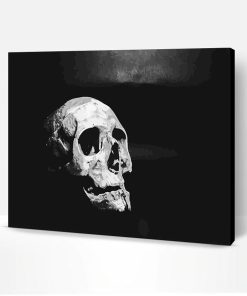 Black And White Skull Paint By Number