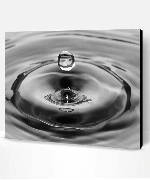 Black and White Water Drop Paint By Number