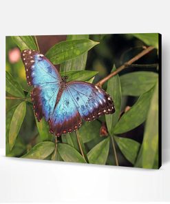 Blue Butterfly Paint By Number