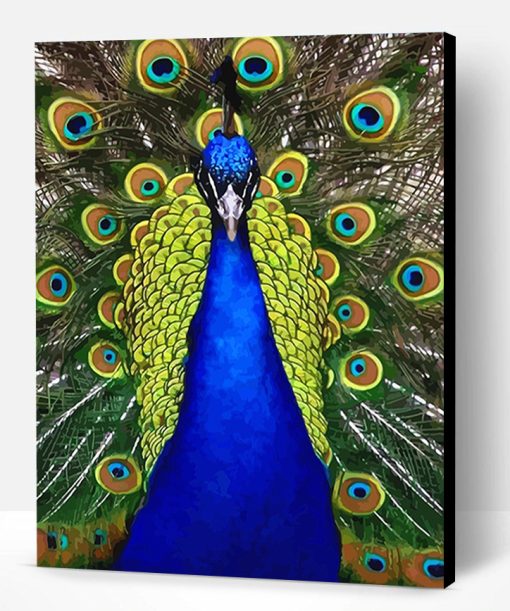 Blue Golden Peacock Bird Paint By Number