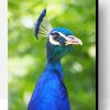 Blue Peacock Portrait Paint By Number