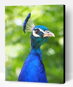 Blue Peacock Portrait Paint By Number