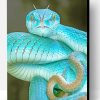 Blue Pit Viper Paint By Number