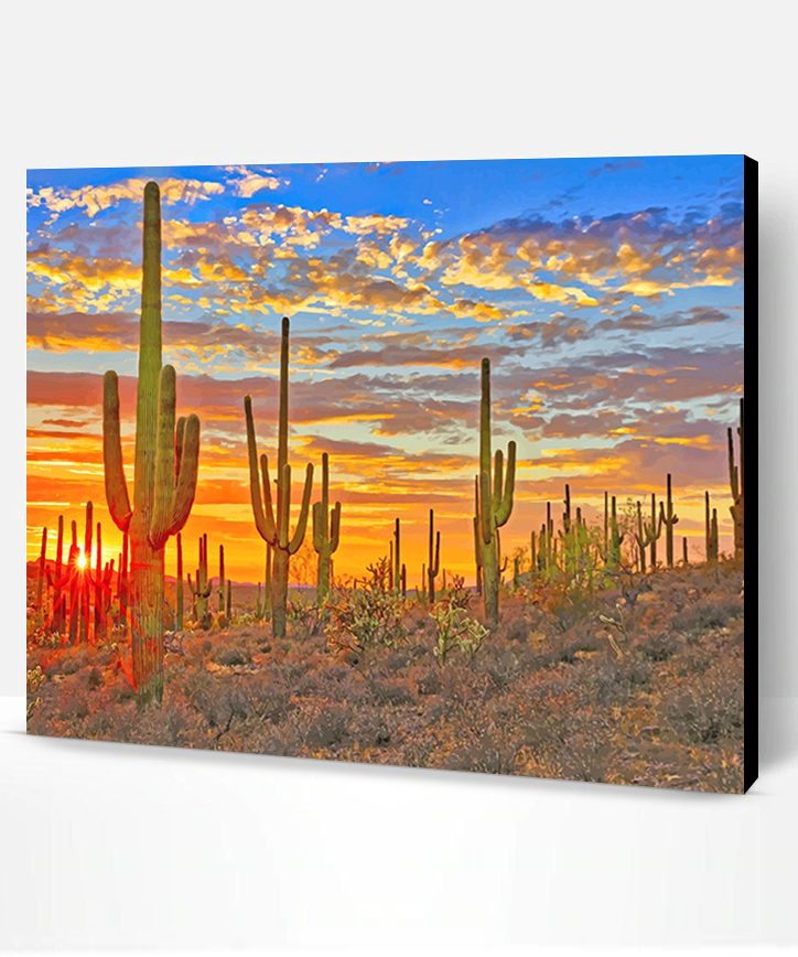 Cactus Arizona Desert NEW Paint By Numbers - Paint By Numbers PRO