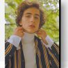 Classy Timothee Chalamet Paint By Number