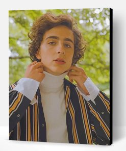Classy Timothee Chalamet Paint By Number