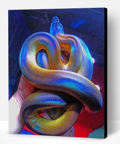 Colorful Albertis Python Paint By Number