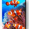 Colorful Clown fish Paint By Number