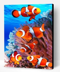 Colorful Clown fish Paint By Number