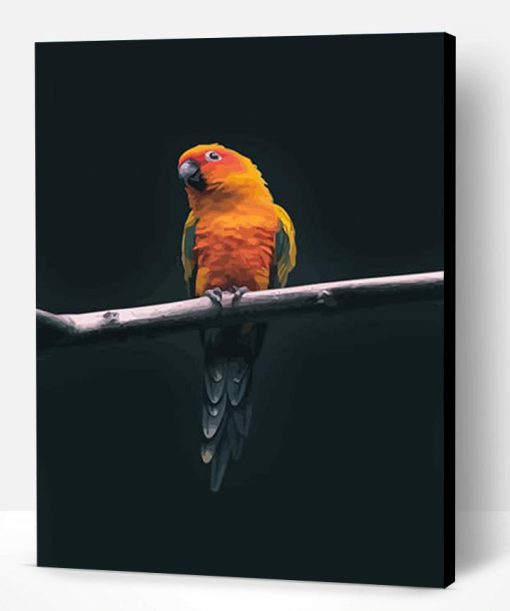 Colorful Parrot Paint By Number